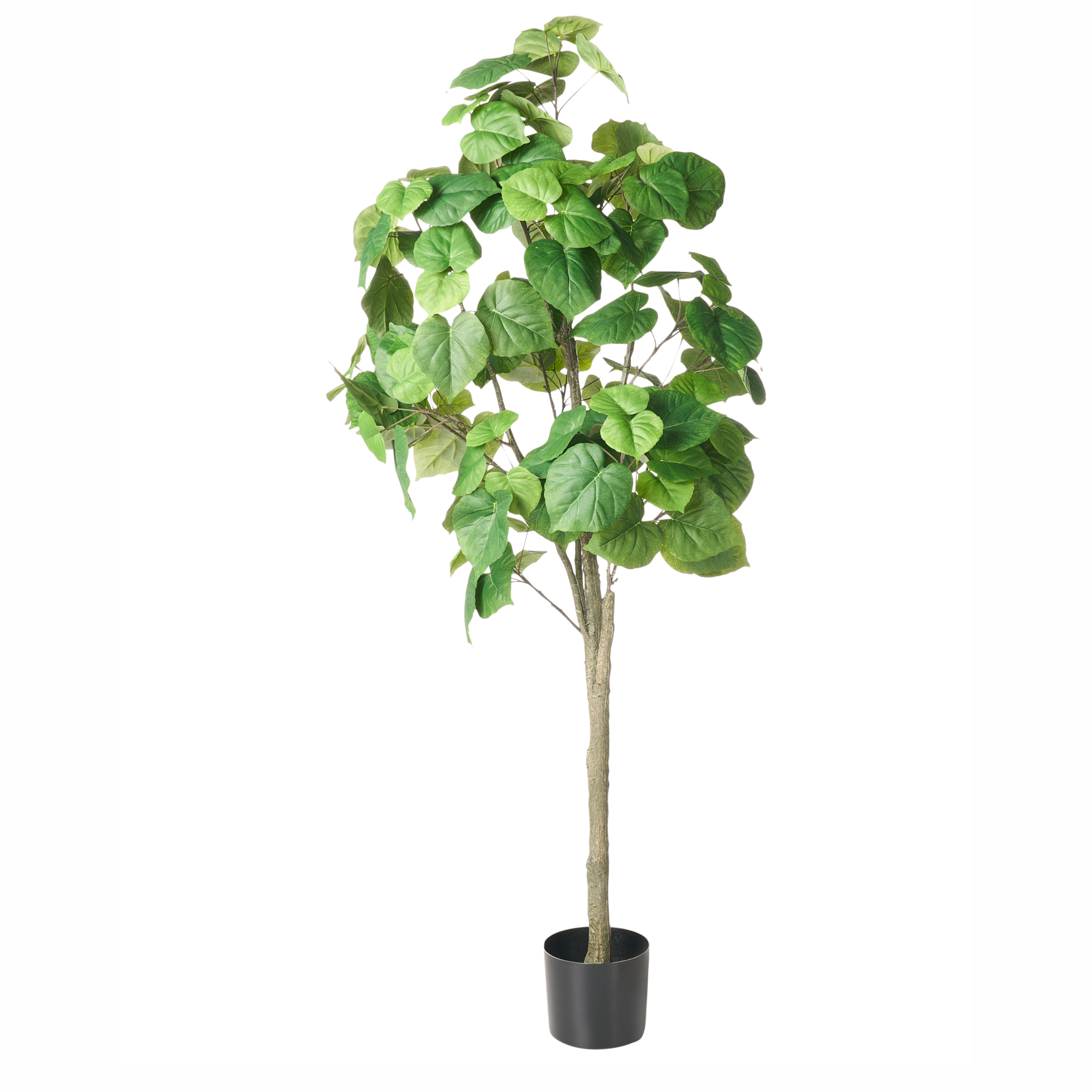 FICUSON Tree Artificial Flora- Green - Gemini Interiors